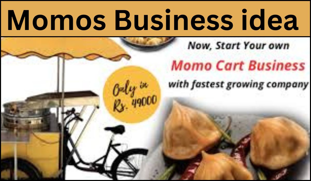 Momos Business idea