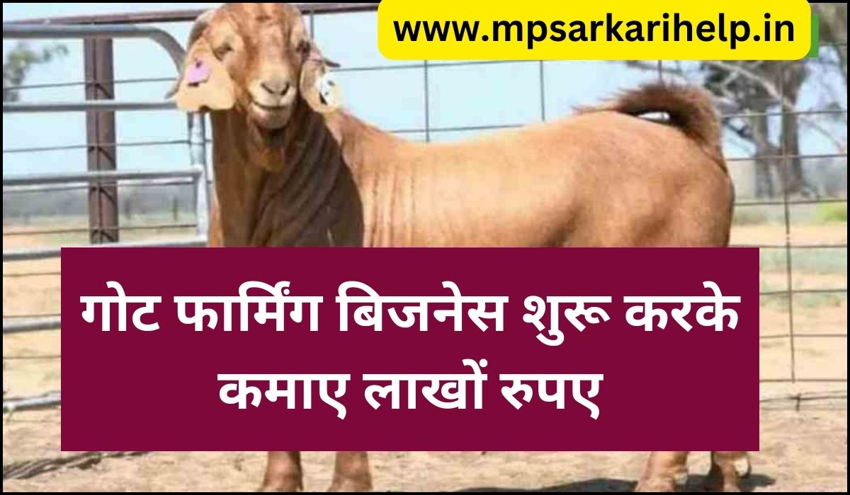 Goat Farming Business Kase Shuru Kare