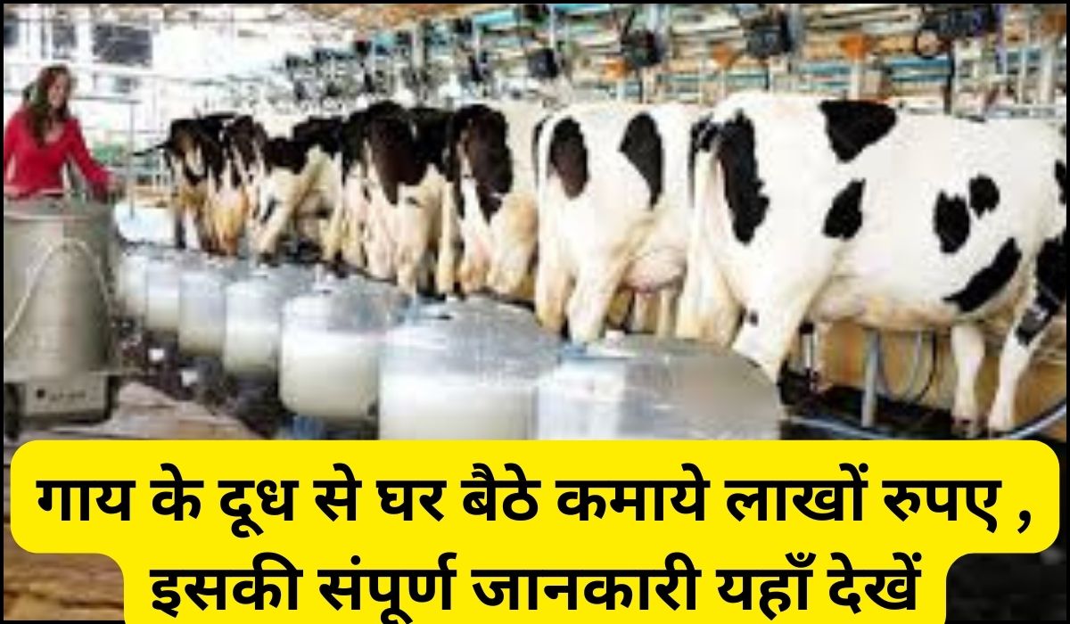 Cow Milk Business idea's