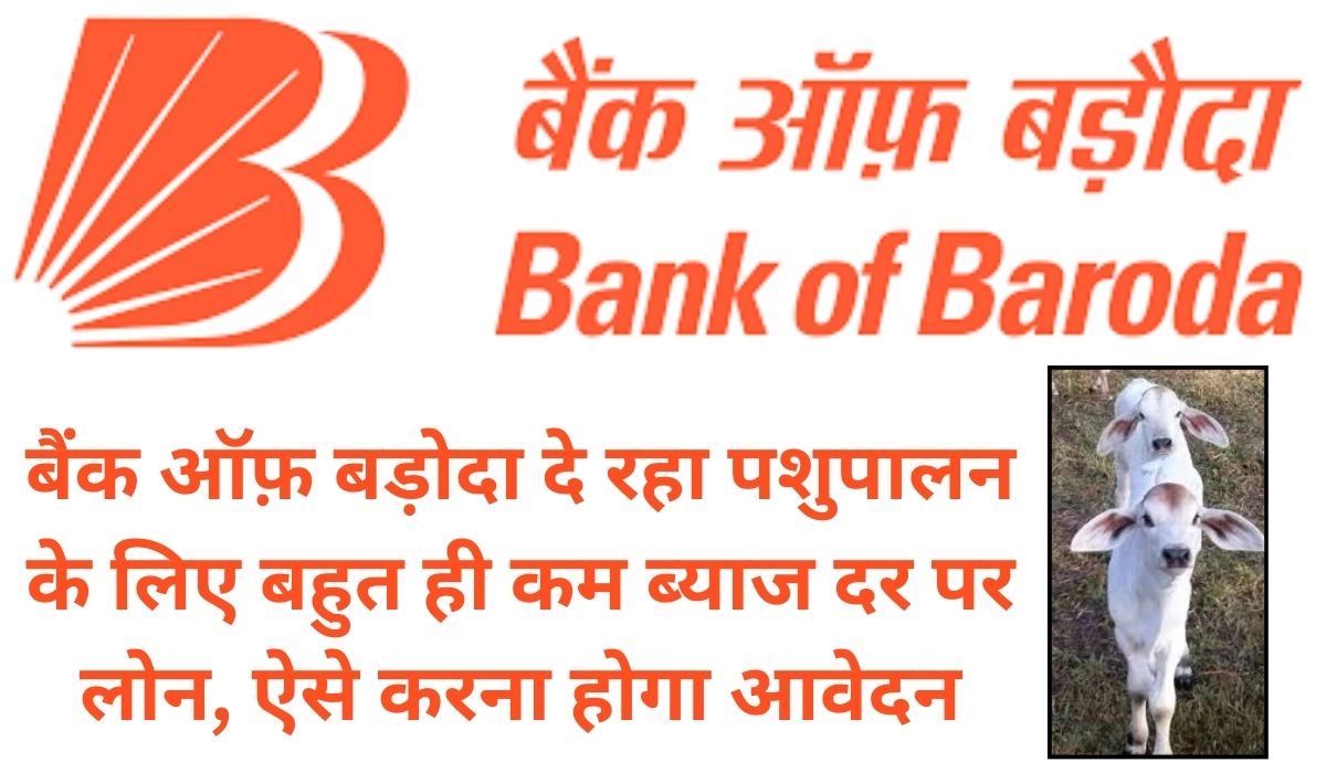 Bank Of Baroda Pashupaalan Loan : बैंक ऑफ़ बड़ोदा दे रहा पशुपालन के लिए बहुत ही कम ब्याज दर पर लोन, ऐसे करना होगा आवेदन