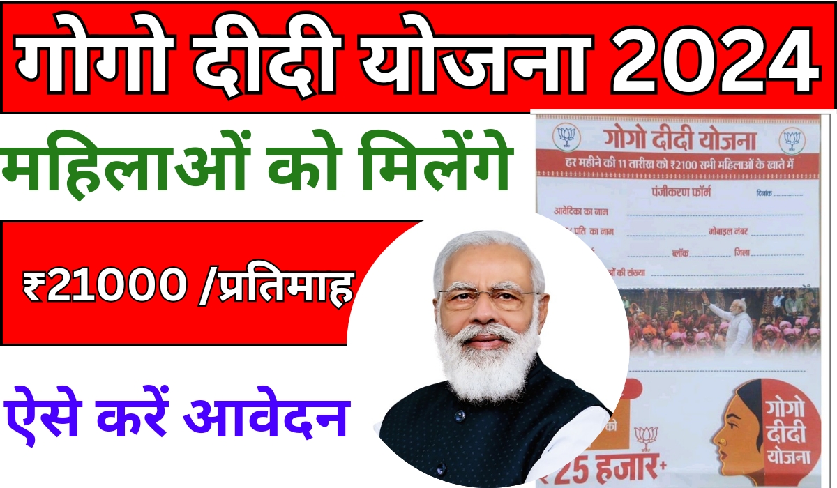 Gogo Didi Yojana Form Download Online